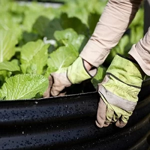 Environmental Initiatives at Hyperdome