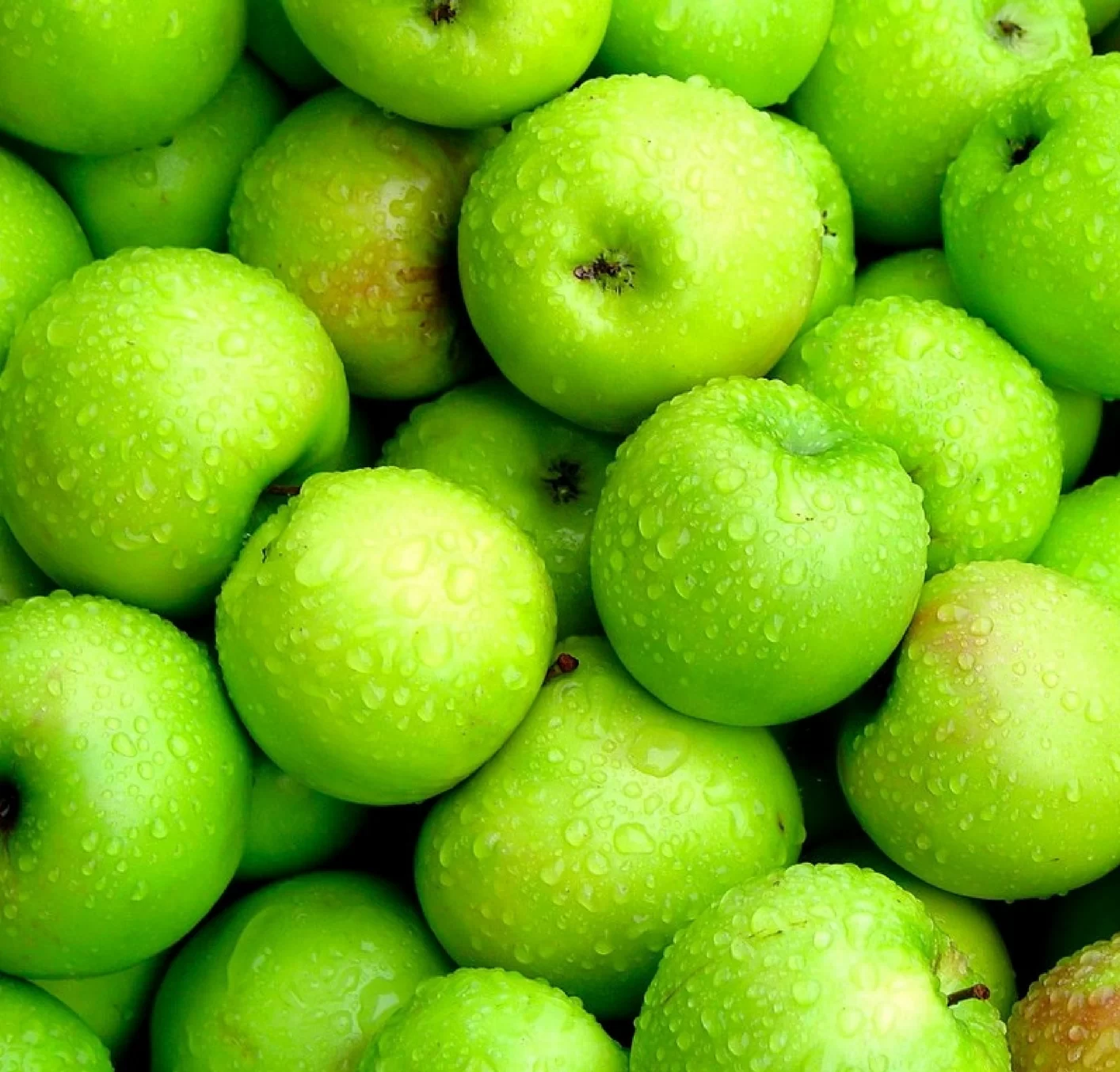 Logan Hyperdome Doctors